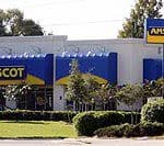 WEBAmscot