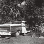 cmw36 1
