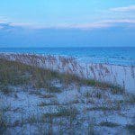 pedidostatepark2