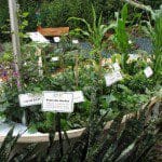 VegetableGarden