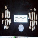 Cayleebones