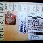 CASEY ANTHONY TRIAL DAY 20