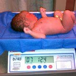 BabyLily