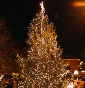 TRee lighting