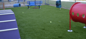 DogRun