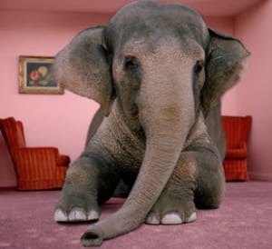 elephant-300x274