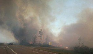 Wildfire