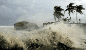 FLstorm11