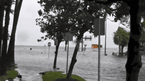 TropicalStormDebbie2