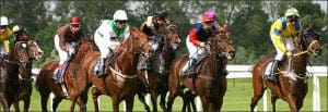 horse-racing-track-surfaces