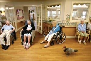 assistedliving