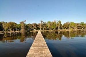 stjohnsriver