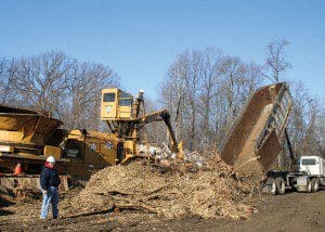 Biomass_Energy