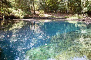 Manatee Springs (Photo: floridastateparks.org)