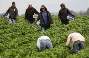 02 mexican workers