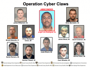 cyberclaws1