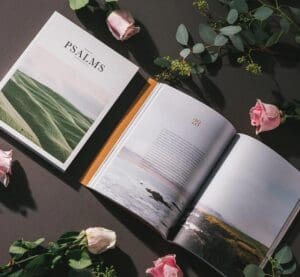 Alabaster Co. Bible