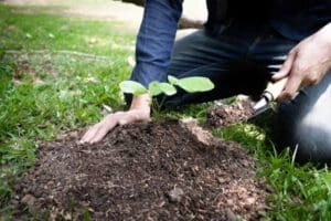 beautification grants 