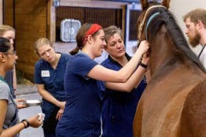 NAVC - North American Veterinary Community