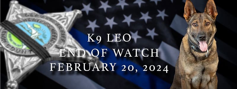 K-9 Leo, Florida Hero