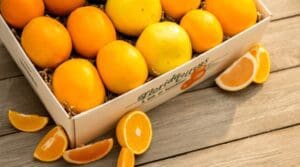 Florida Citrus 