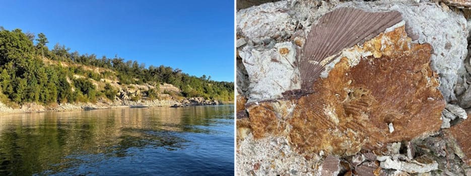 Florida Invertebrate Paleontological Site Alum Bluff